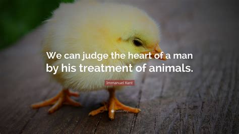immanuel kant quotes on animals